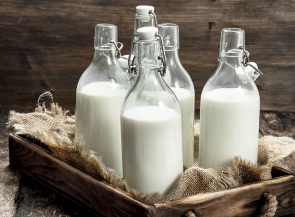 Frische Milch vom Moabauer